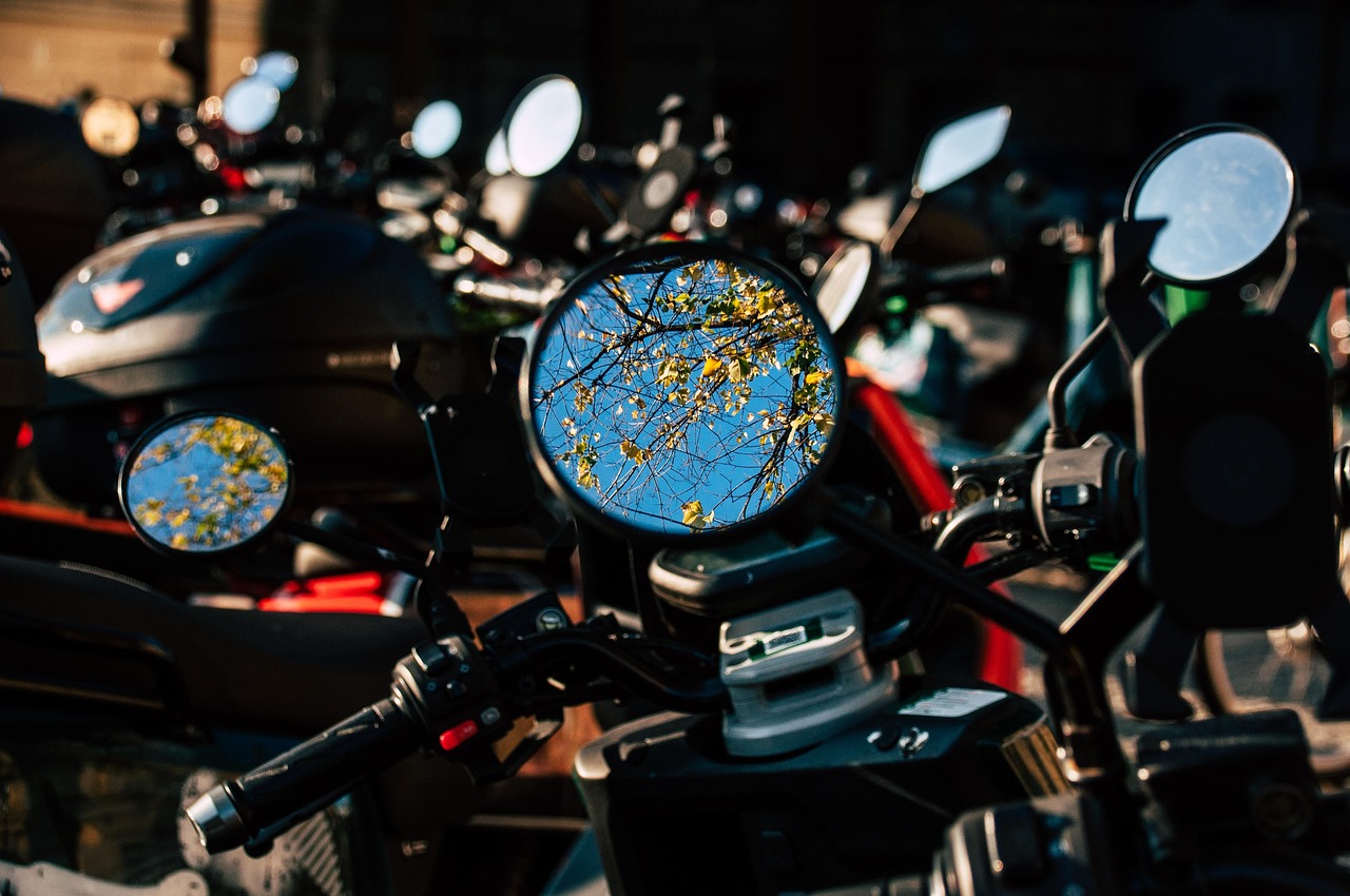 Come evitare danni causati da escrementi di uccelli sulla vernice della tua moto